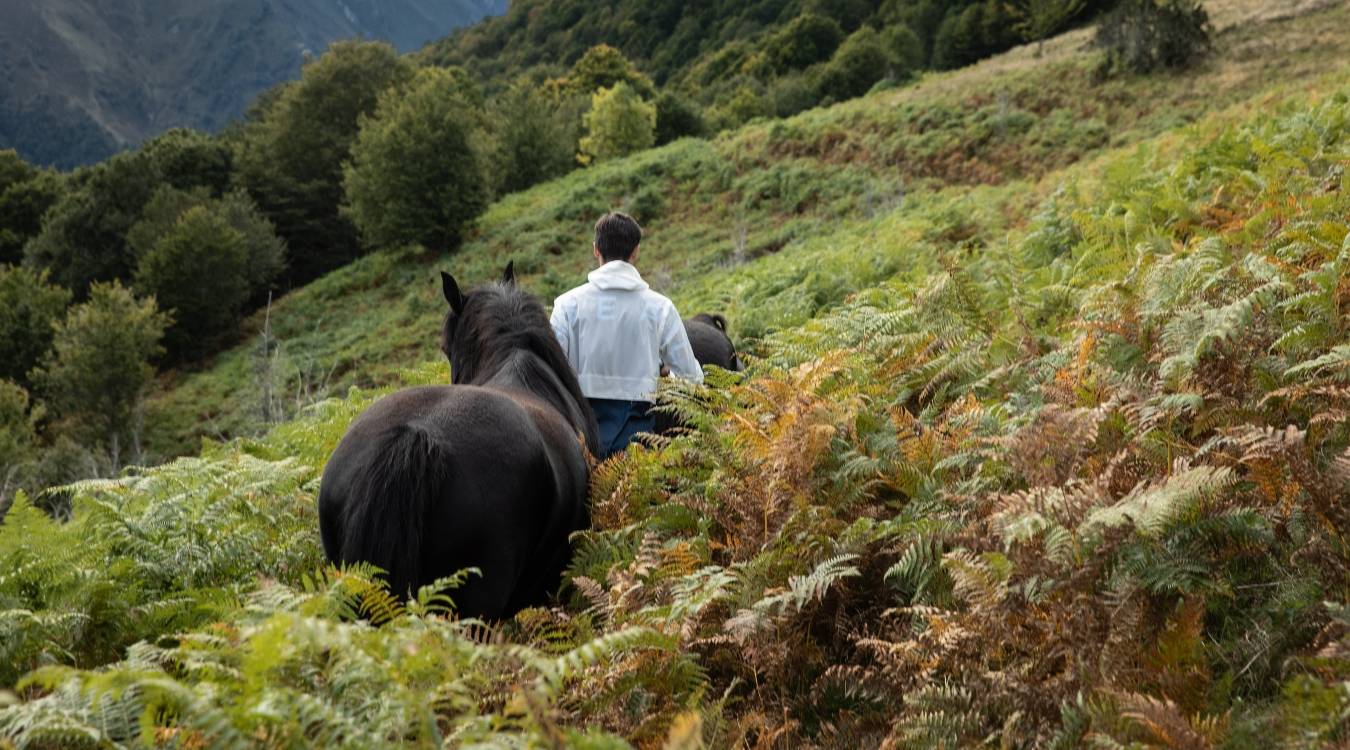 Plantes toxiques blog Horse Pilot