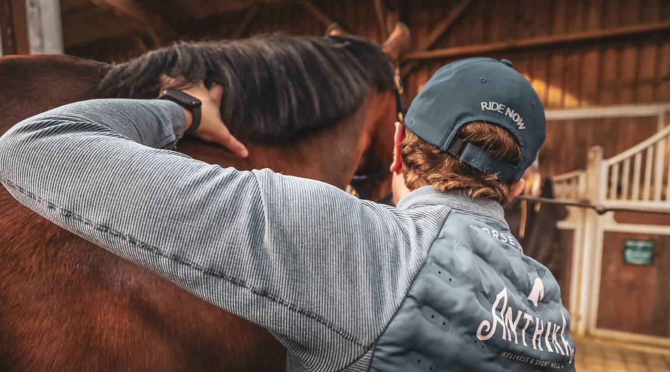la récupération du cheval par le massage
