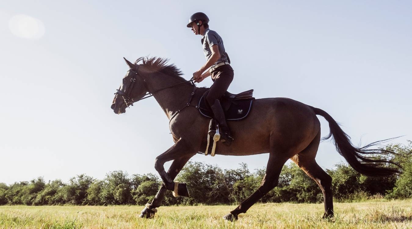 Maxime Livio : le travail du cardio du cheval