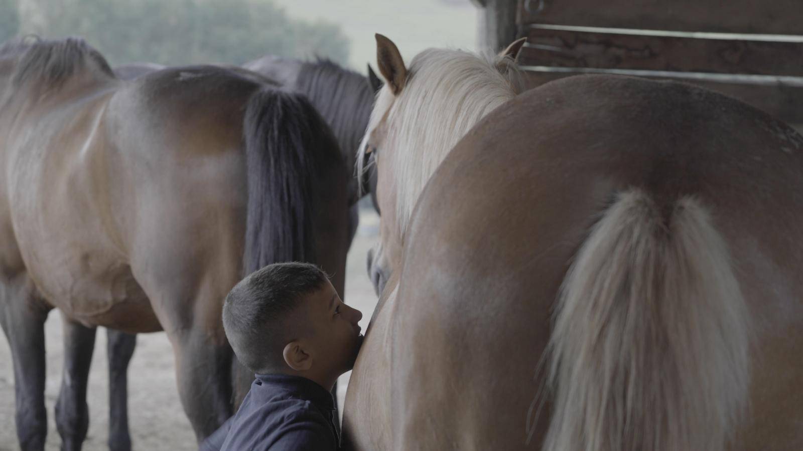 equitherapie-horsepilot-regard2moi
